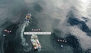 Aerial view of kelp extraction project.