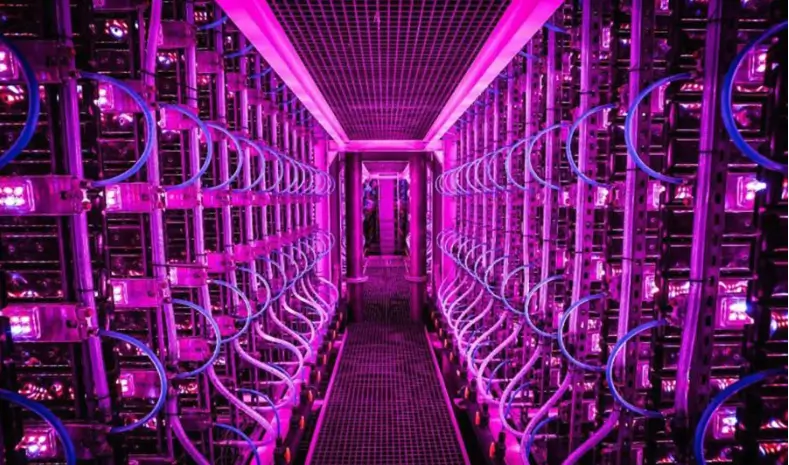 A corridor filled with rows of glowing purple computer servers.