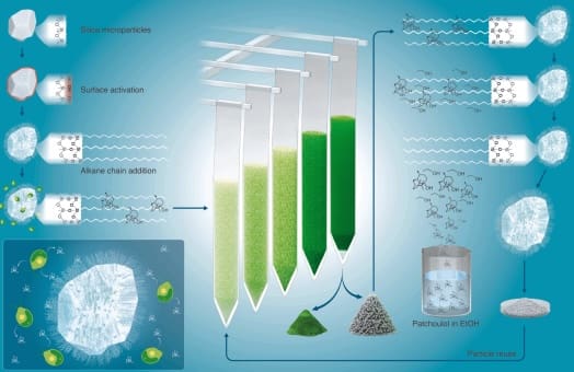 Digital infographic of test tubes showing varying levels of green substances with scientific annotations.