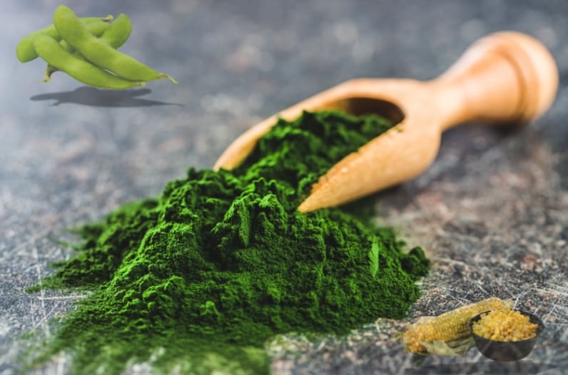Vibrant green spirulina powder with a wooden scoop on a textured surface.