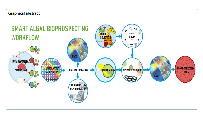 Smart Microalgal Bioprospecting