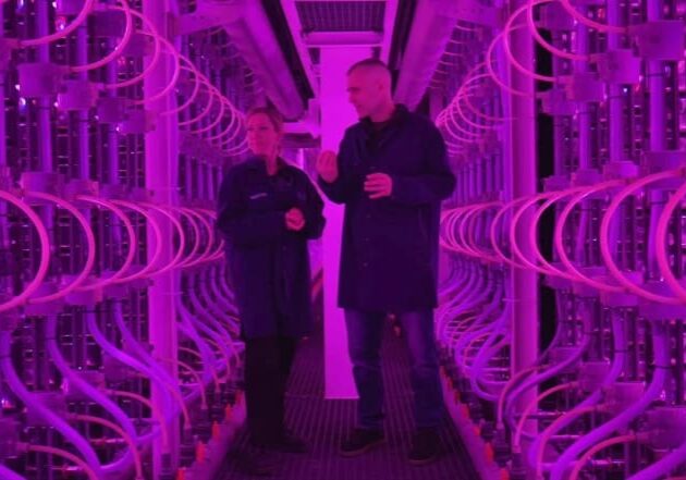 Two men standing in a room with purple lights.