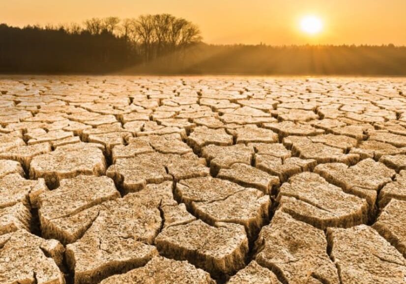Cracked earth, drought, sunset.