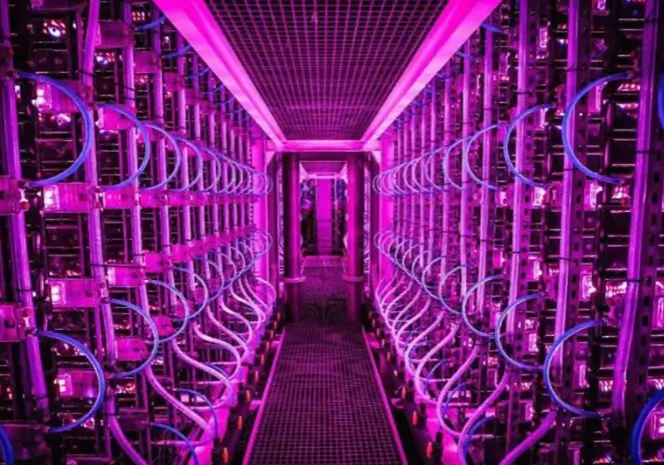 A corridor filled with rows of glowing purple computer servers.