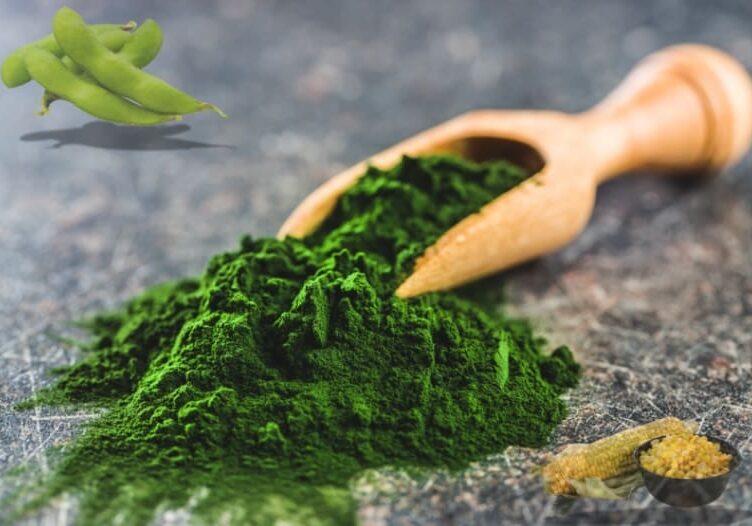Vibrant green spirulina powder with a wooden scoop on a textured surface.
